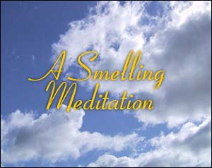 guided meditation